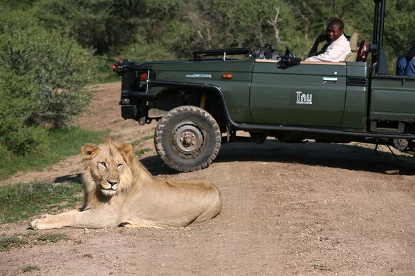 Tau Game Lodge Madikwe Game Reserve Eksteriør billede