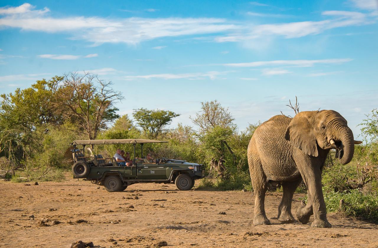 Tau Game Lodge Madikwe Game Reserve Eksteriør billede